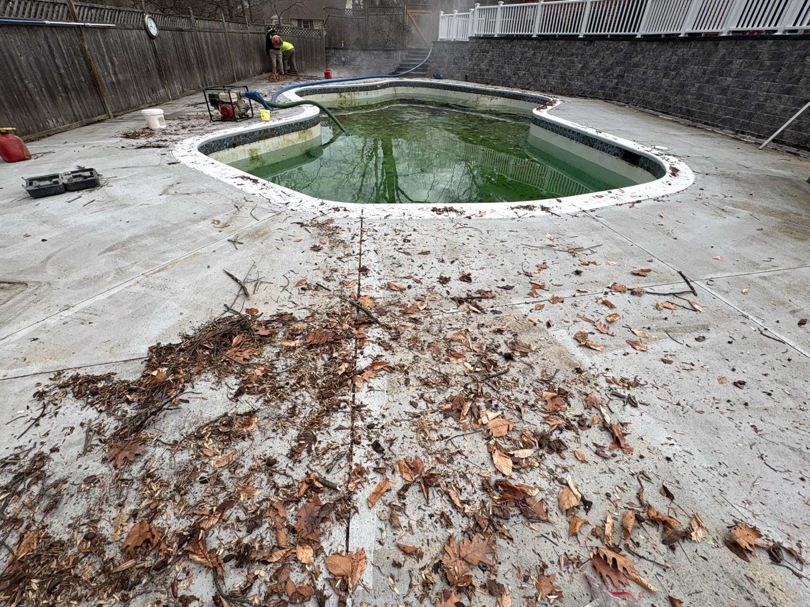 Pool before Pro Pool Experts renovation
